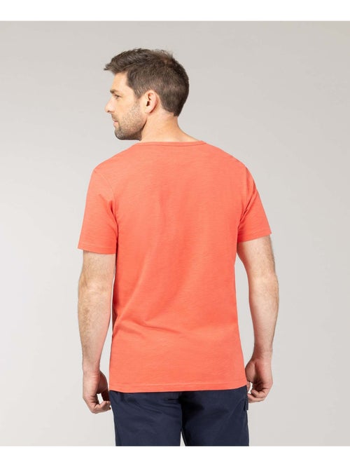 T-shirt manches courtes - Terre de Marins - Kiabi