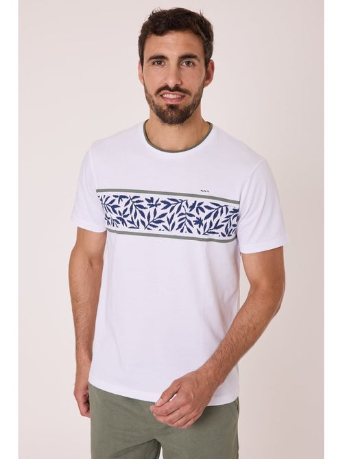 T-shirt manches courtes 100% coton - Terre de Marins - Kiabi