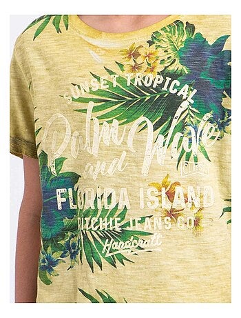 T-shirt manches courtes col rond pur coton NABANE garçon