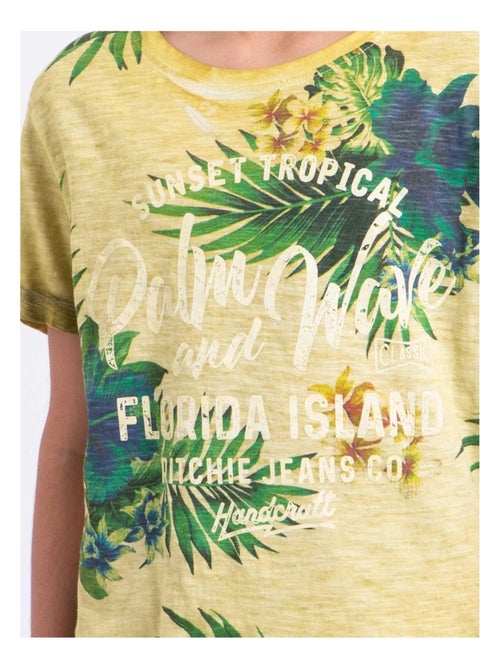 T-shirt manches courtes col rond pur coton NABANE garçon - Kiabi