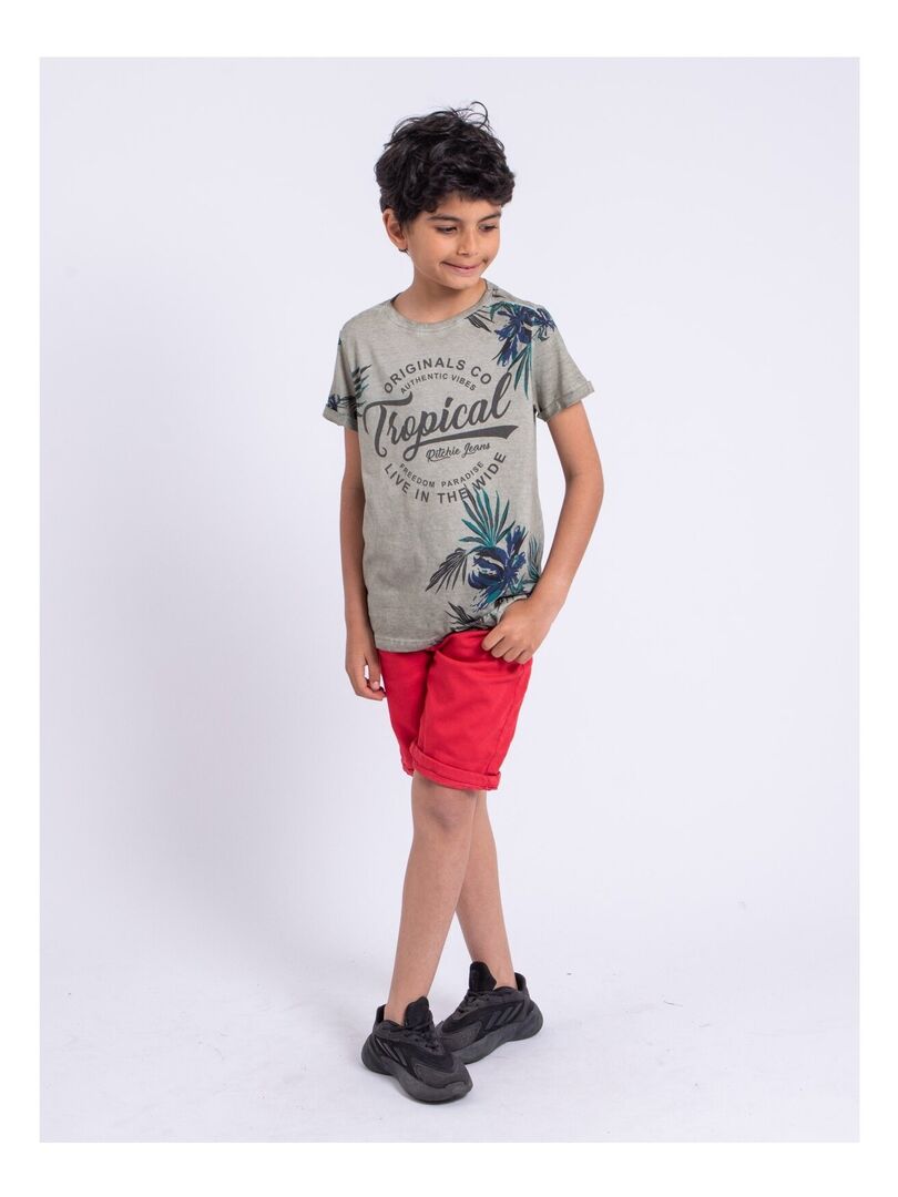 T-shirt Garçon 'We Are Family' Loulou Colore – Humour & Tendresse, 100 % Coton Bio, Manches Courtes, Made In France
