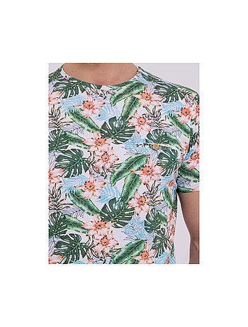 T-shirt manches courtes col rond pur coton NIBOLTA