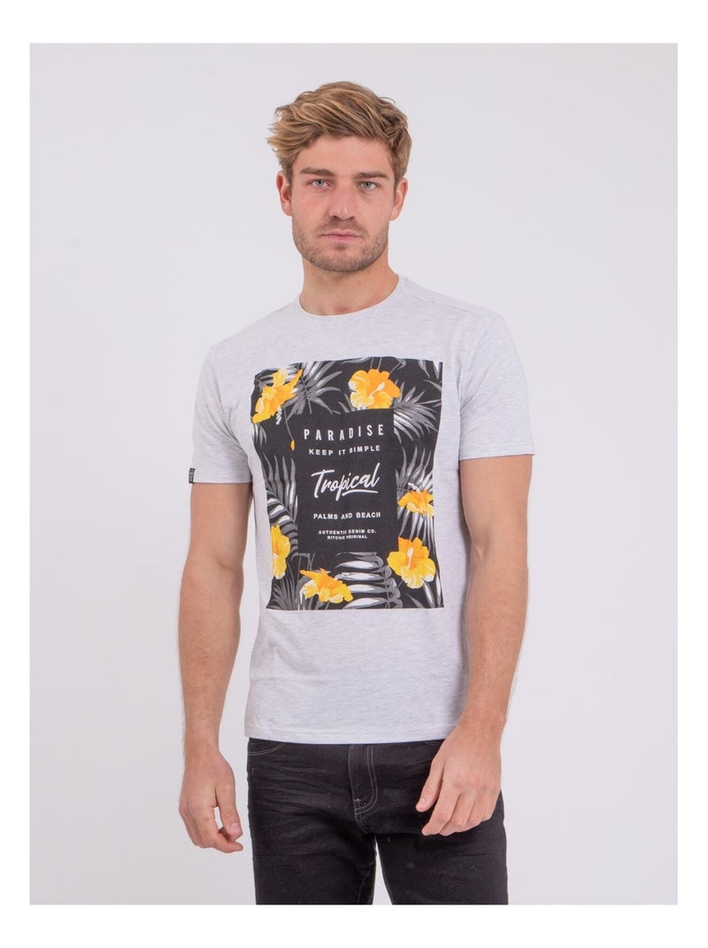 T-shirt manches courtes col rond pur coton NOCTAVIO Gris - Kiabi