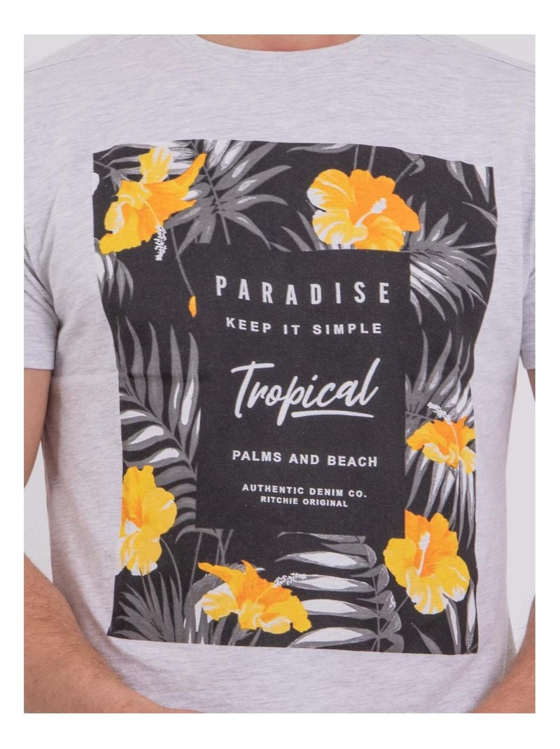 T-shirt manches courtes col rond pur coton NOCTAVIO Gris - Kiabi
