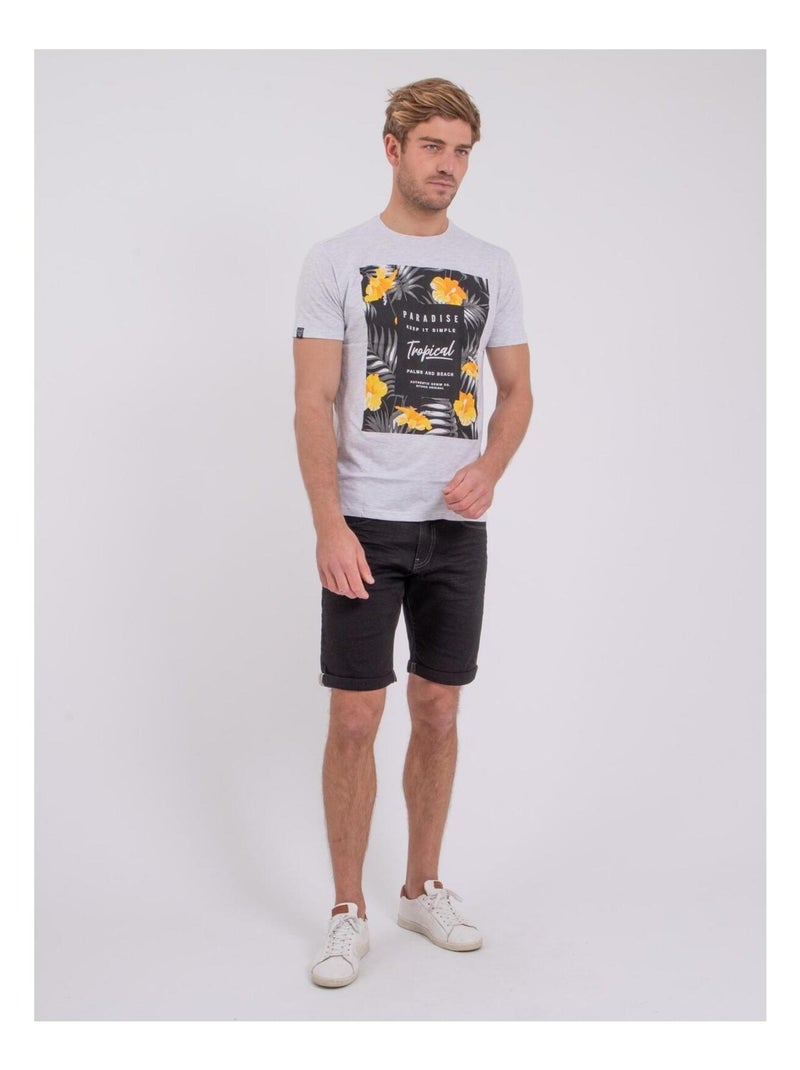T-shirt manches courtes col rond pur coton NOCTAVIO Gris - Kiabi
