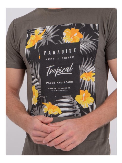 T-shirt manches courtes col rond pur coton NOCTAVIO - Kiabi