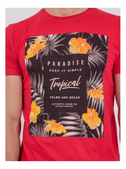 T-shirt manches courtes col rond pur coton NOCTAVIO - Kiabi