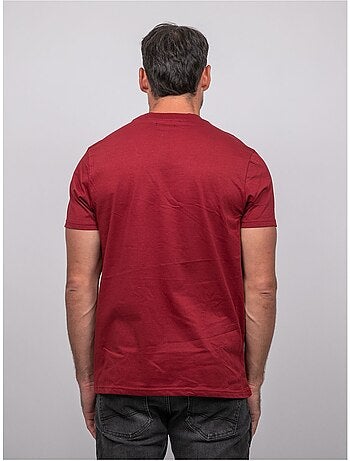 T-shirt manches courtes coton motif montagne jampago