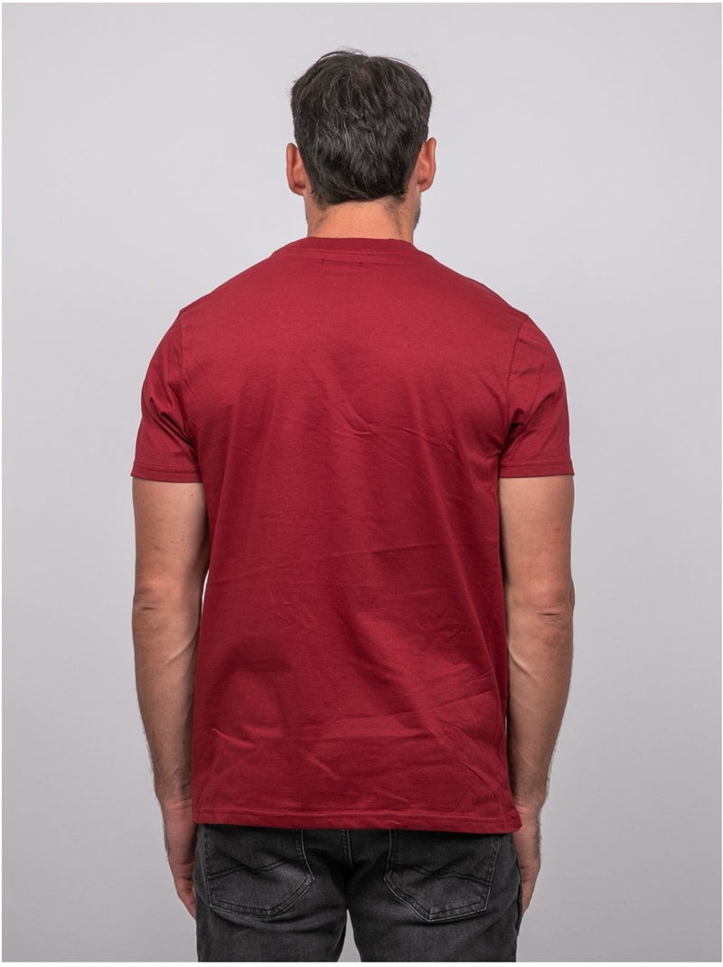 T-shirt manches courtes coton motif montagne jampago Bordeaux - Kiabi