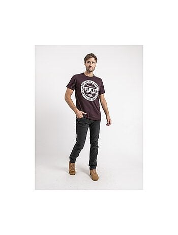 T-shirt manches courtes pur coton JAMONIX