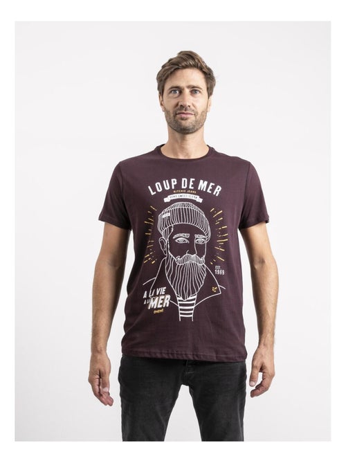 T-shirt manches courtes pur coton JEPASTEL - Kiabi