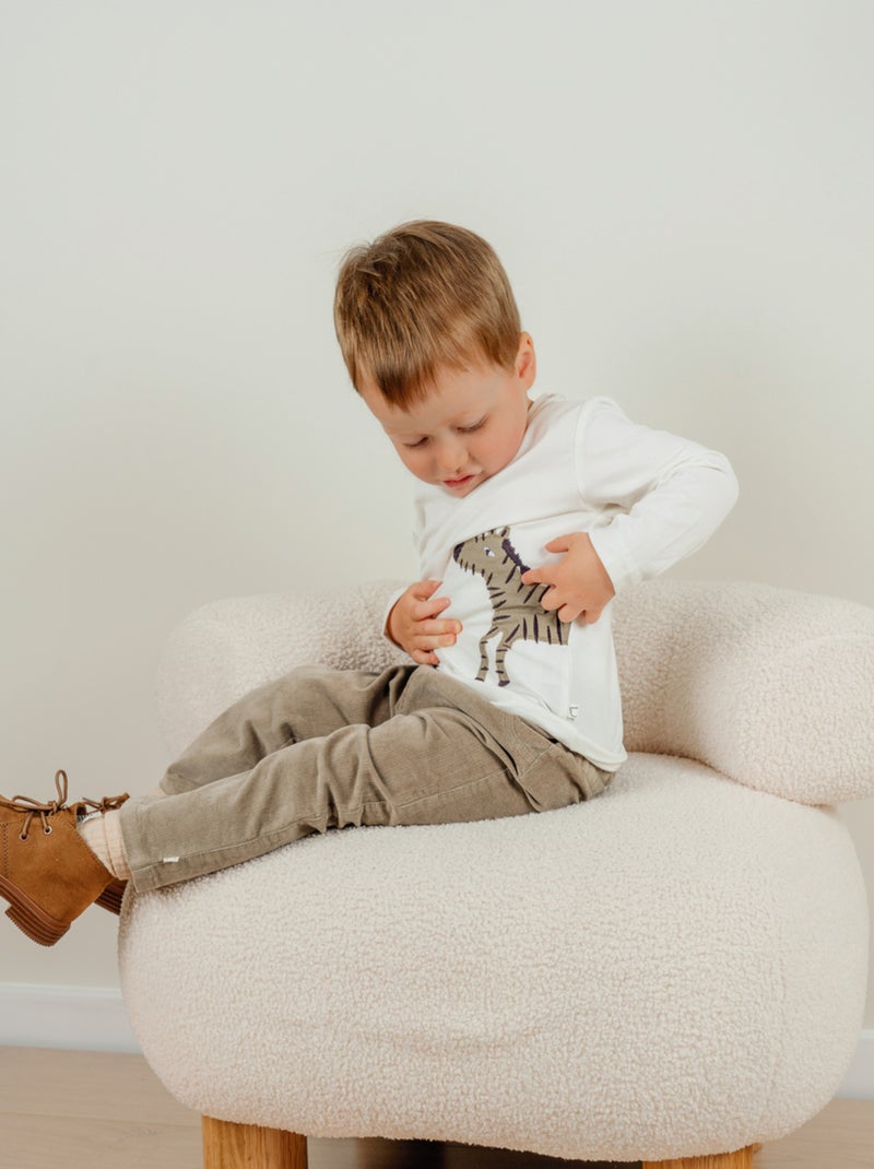 T-shirt manches longues en coton avec imprimé zèbre Noukie's Blanc - Kiabi