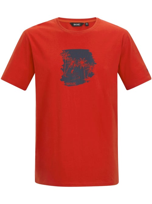 T-shirt motif/style planeur de plage cline - regatta - Kiabi