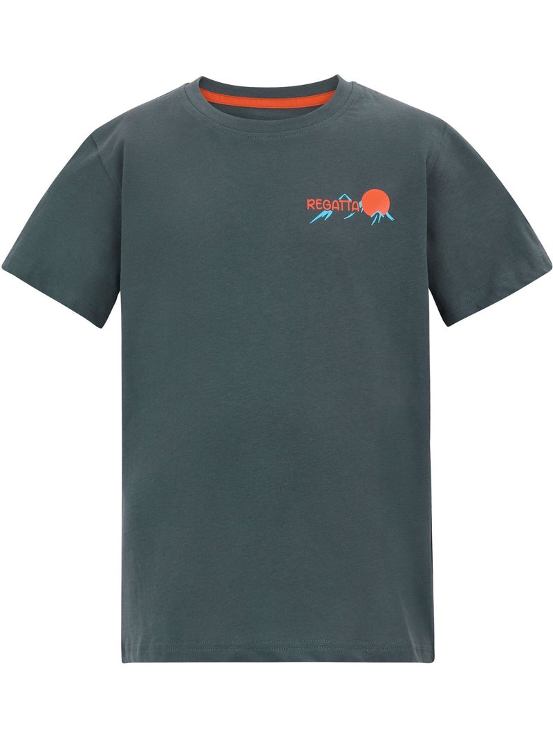 T-shirt motif/style scène de montagne bosley - regatta Gris foncé - Kiabi