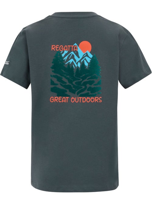 T-shirt motif/style scène de montagne bosley - regatta - Kiabi T-shirt motif/style scène de montagne bosley - regatta - Kiabi