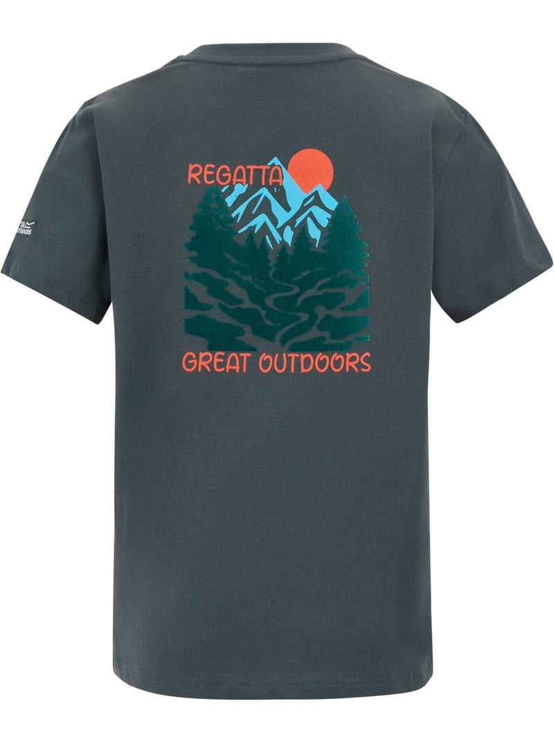 T-shirt motif/style scène de montagne bosley - regatta Gris foncé - Kiabi