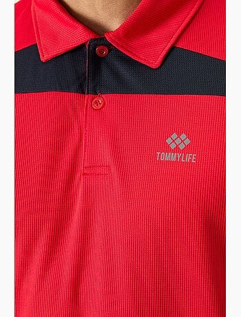 Polo colorblock tommy