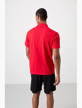 Polo colorblock tommy