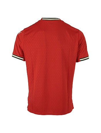 T-shirt PUMA FPF Home Jersey Replica