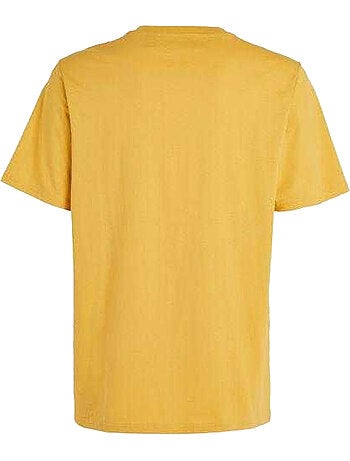 T-shirt the future surf society - o´neill