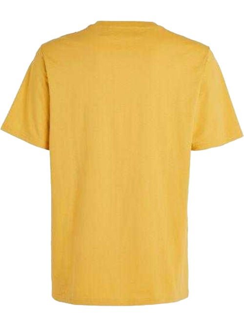 T-shirt the future surf society - o´neill - Kiabi
