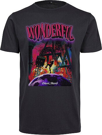 T-shirt wonderful - mister tee