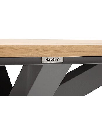 Table de jardin 10 places ORACLION