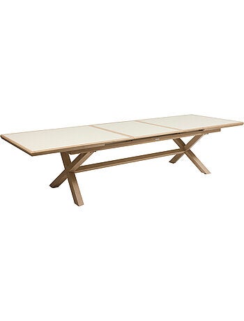 Table de jardin extensible 12 places en aluminium AXIOME