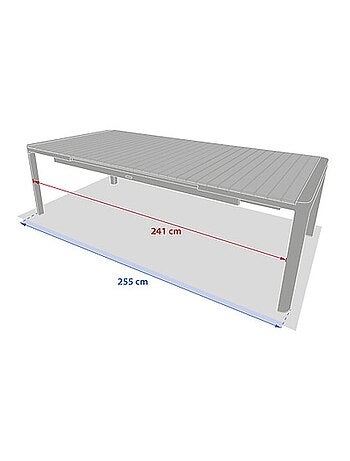 Table de jardin extensible en aluminium et acacia 12 places PARADIZE