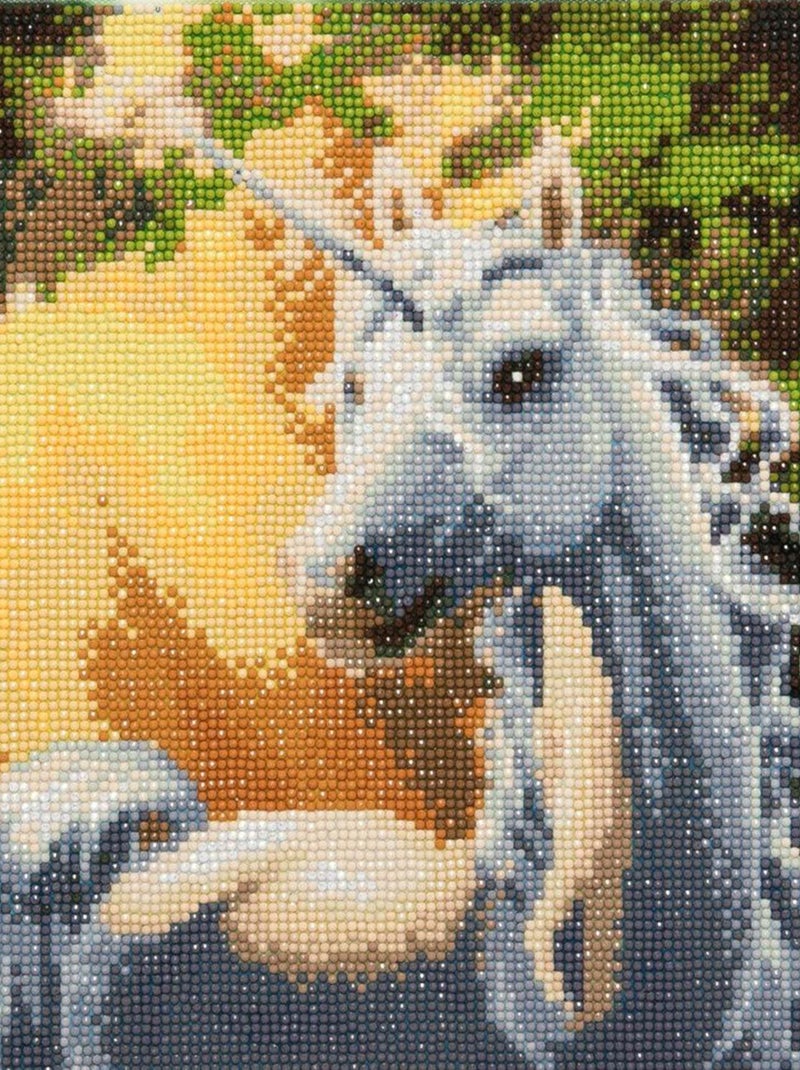 Tableau Crystal Art à diamanter - Licorne - 30 x - Crystal Art N/A - Kiabi