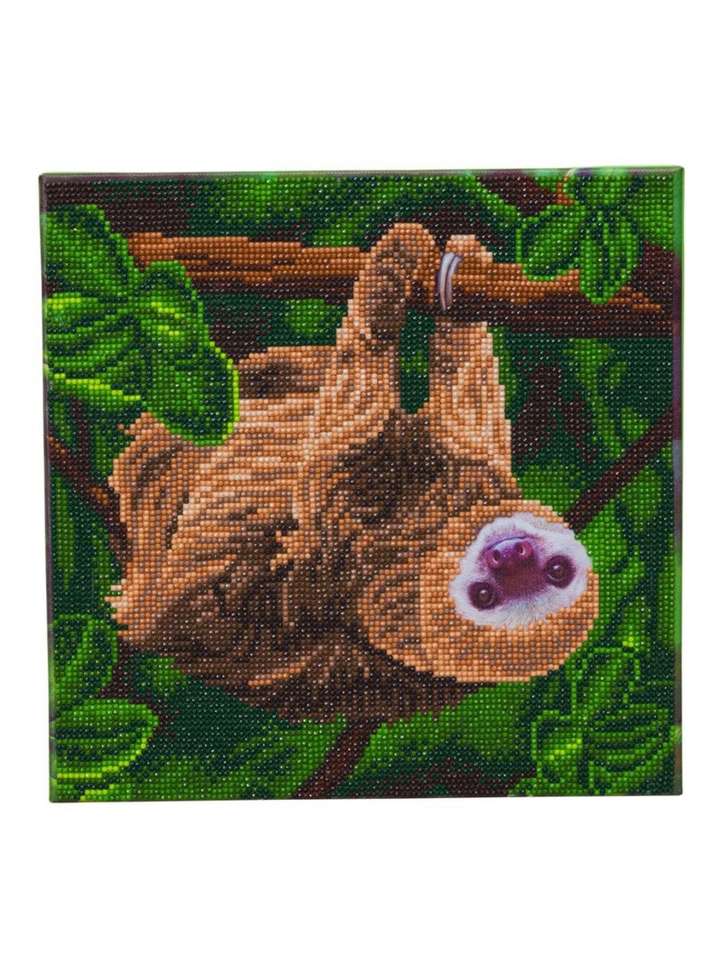 Tableau Crystal Art à diamanter - Paresseux - 30 x - Crystal Art N/A - Kiabi