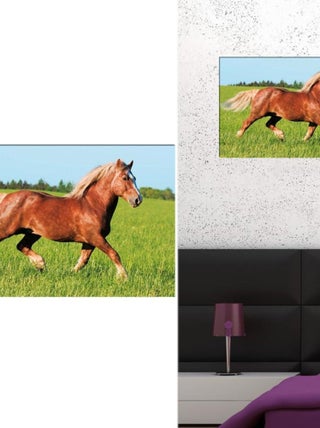 Tableau imprimé cheval