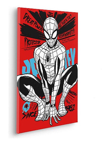 Tableau intissé - Spider Man Protecteur De New York City