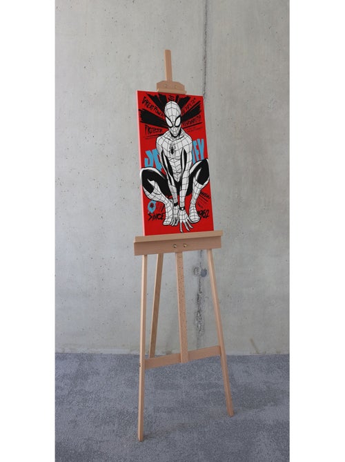 Tableau intissé - Spider Man Protecteur De New York City - Kiabi