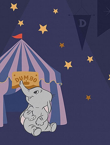 Tableau intissé- Nuit Etoilée Avec Dumbo