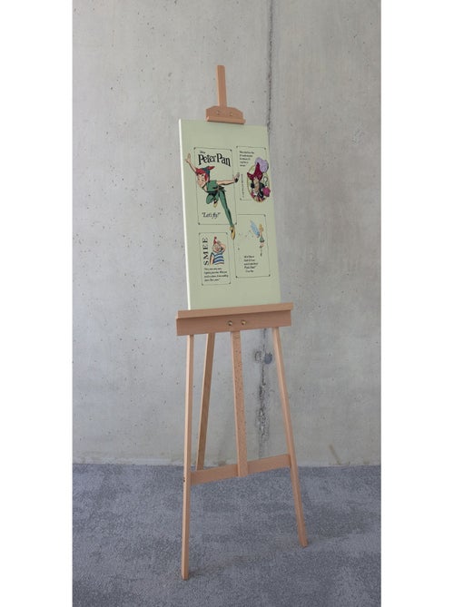 Tableau intissé Peter Pan - Let´s Fly - Kiabi