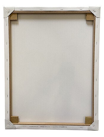 Tableau Pat'Patrouille - Chase Marcus et Ruben - 35 cm x 35 cm