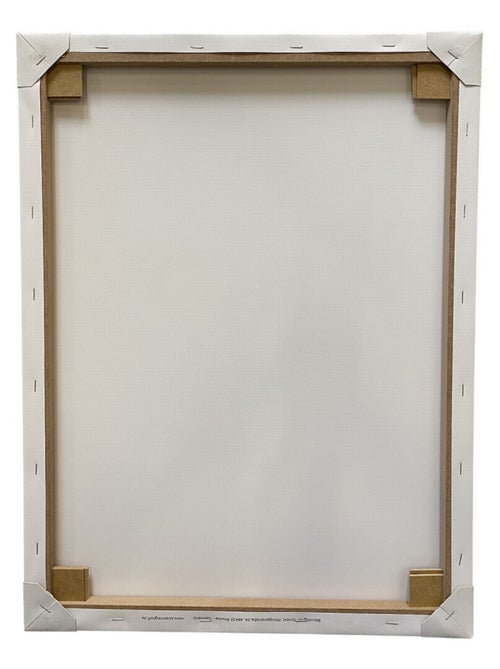 Tableau Pat'Patrouille - Chase Marcus et Ruben - 35 cm x 35 cm - Kiabi