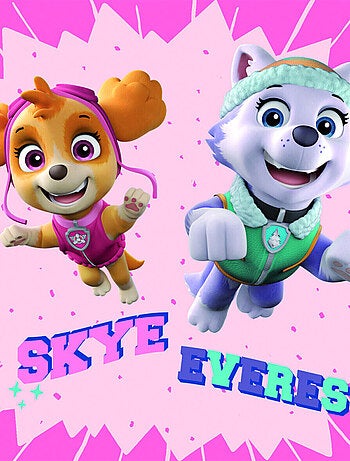 Tableau Pat'Patrouille - Skye et Everest - 35 cm x 35 cm