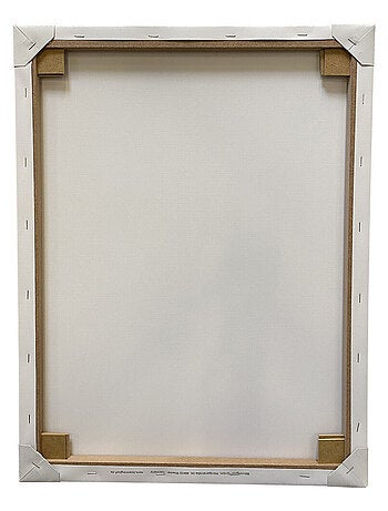 Tableau Pat'Patrouille - Skye et Everest - 35 cm x 35 cm