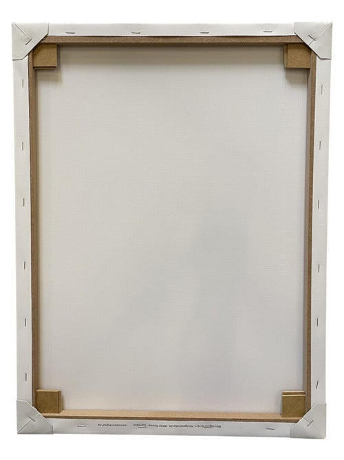 Tableau Pat'Patrouille - Skye et Everest - 35 cm x 35 cm - Kiabi