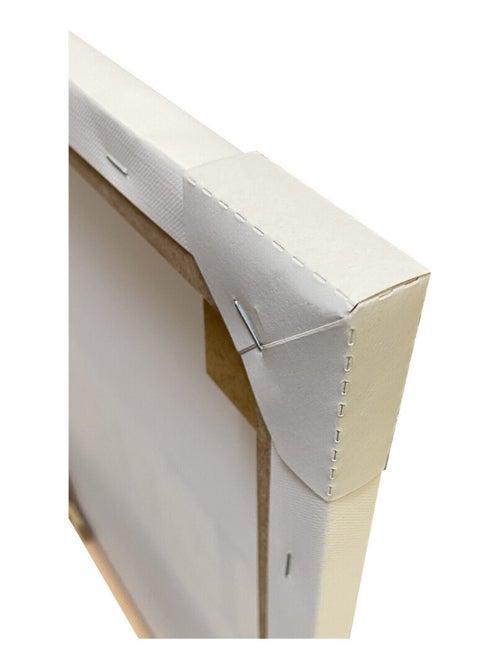 Tableau Pat'Patrouille - Skye et Everest - 35 cm x 35 cm - Kiabi