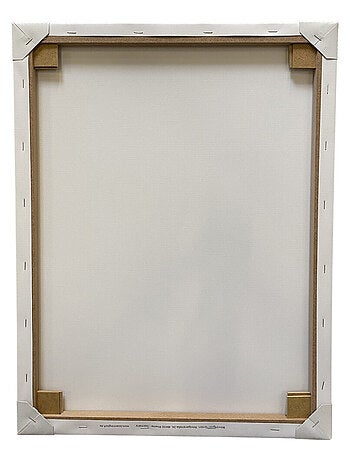 Tableau Pat'Patrouille Rose - Chase, Marcus et Stella - 46 cm x 61 cm