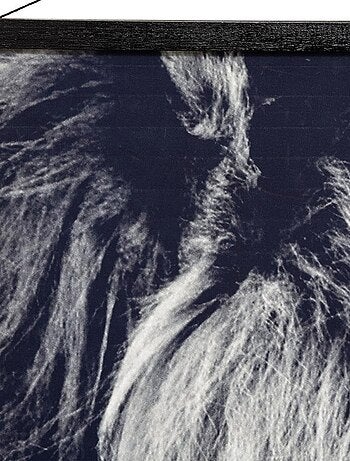 Tableau toile Lion 73x110 cm