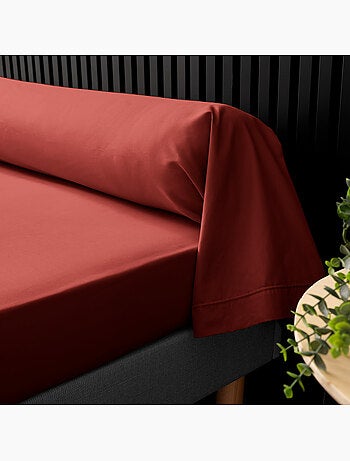 Taies de Traversin Percale de Coton 78fils Percale Douceur d'Intérieur