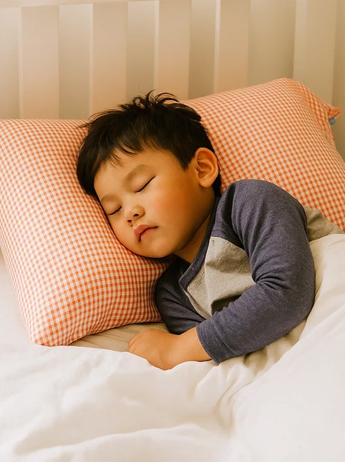 Taie d'oreiller en Coton Bio - Kiabi