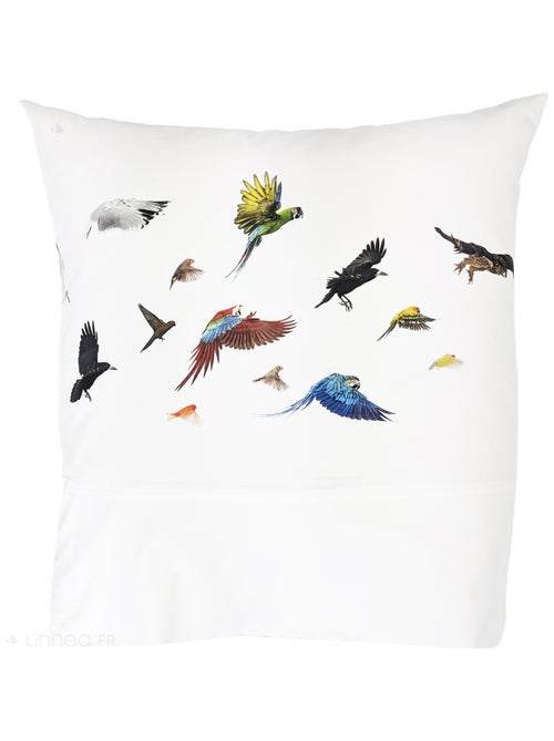 Taie d'oreiller percale de coton NOÉ - Kiabi