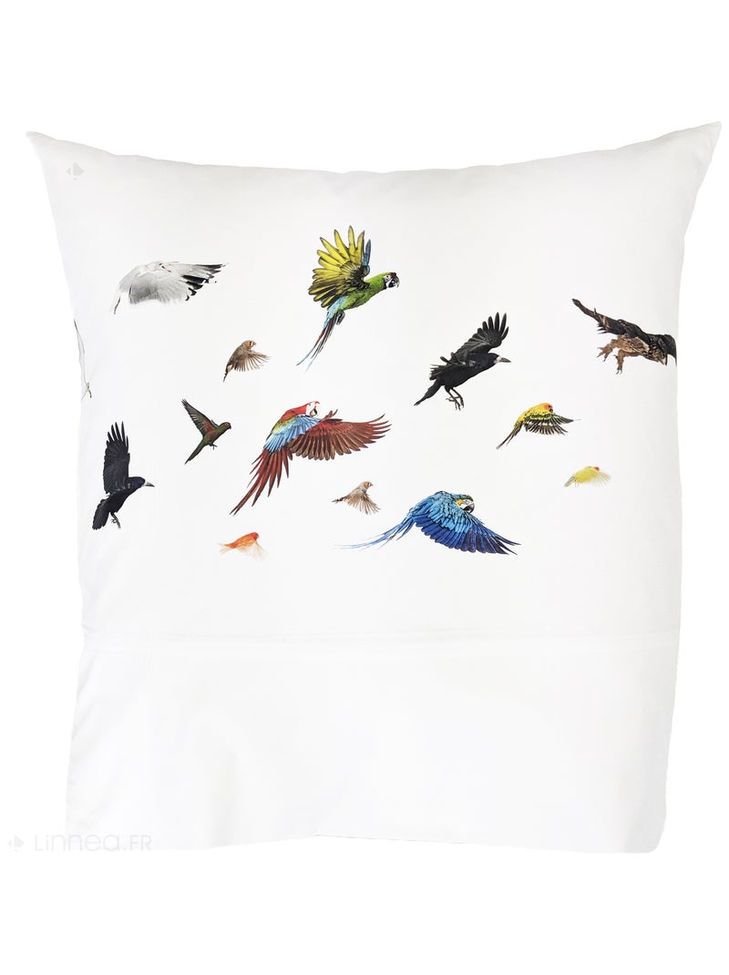 Taie d'oreiller percale de coton NOÉ Multicolore - Kiabi