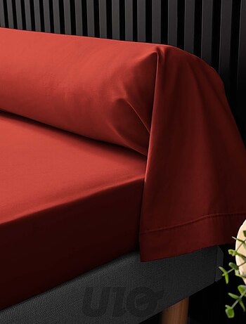 Taies de Traversin Percale de Coton 78fils Percale Douceur d'Intérieur