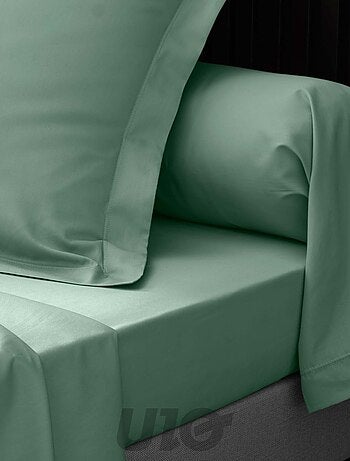 Taies de Traversin Percale de Coton 78fils Percale Douceur d'Intérieur